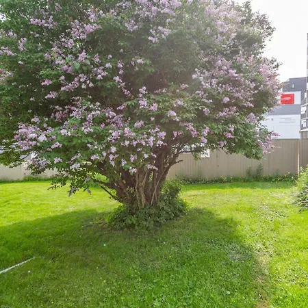 Daire 2-bedroom With Private Entrance Near Centre